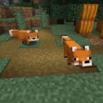 mèo trong minecraft ăn gì